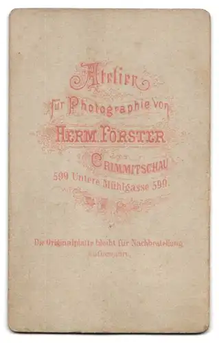 Fotografie Herm. Förster, Crimmitschau, Untere Mühlgasse 599, Bürgerliche Dame mit Kragenbrosche