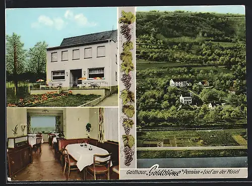 AK Loef a. d. Mosel, Gasthaus-Pension Goldblume, Inh. Frau J. Wild, Innen- und Aussenansicht