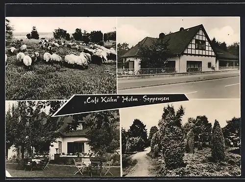 AK Holm-Seppensen, Konditorei-Café Café Kühn, Schafherde, Waldweg