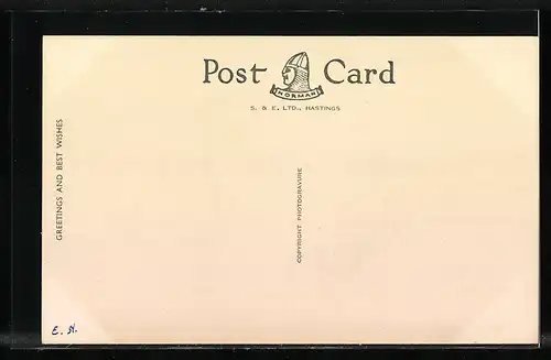 AK Eastbourne, Illuminated Pier and Fountain