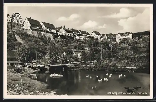 AK Wildberg / Schwarzwald, Teilansicht vom Nagoldtal aus, Südseite