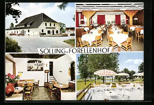 AK Lauenförde-Brüggefeld, Solling-Forellenhof, verschiedene Ansichten