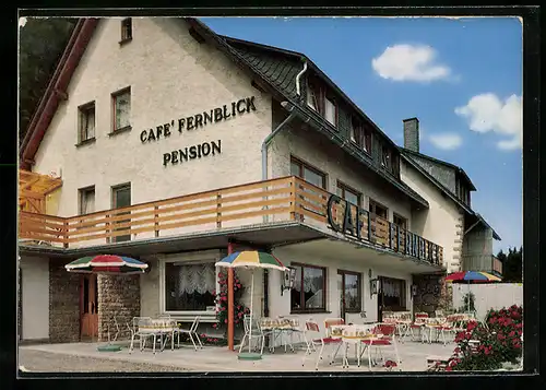 AK Schwalefeld-Willingen /Hochsauerland, Café und Pension Fernblick