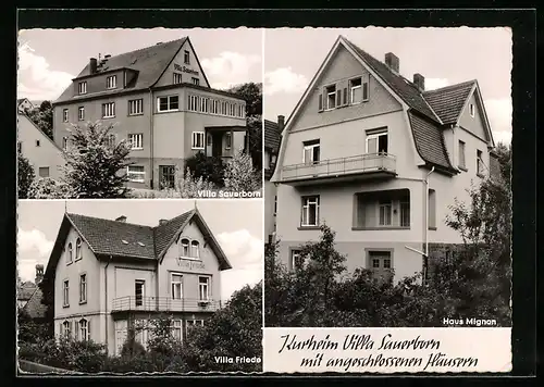 AK Bad Orb, Kurheim Villa Sauerborn, Haus Mignon & Villa Frieda