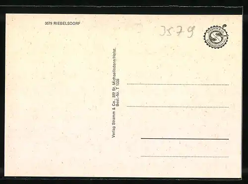AK Riebelsdorf, Kirche, Strassenpartie mit Geschäft, Gedenkstein