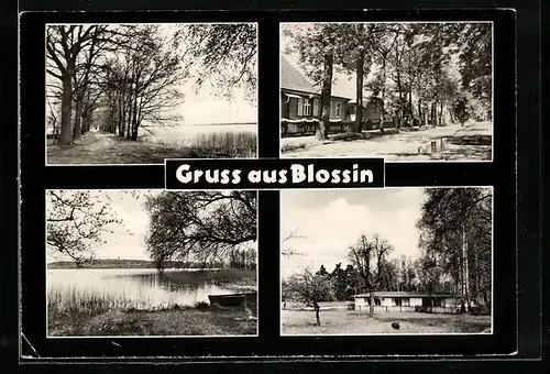 AK Blossin, Strassenpartie, Am See