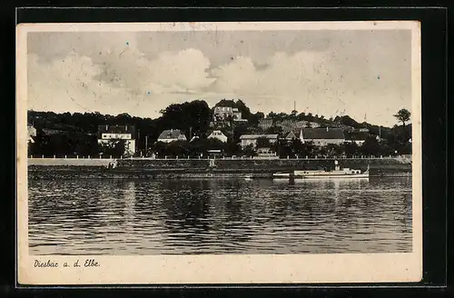 AK Diesbar a. d. Elbe, Rosengarten mit Dampfer