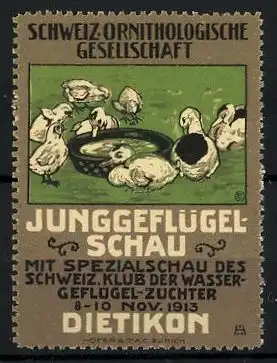 Reklamemarke Dietikon, Junggeflügel-Schau mit Spezialschau des schweiz. Klub d. Wassergeflügel-Züchter 1913, Enten