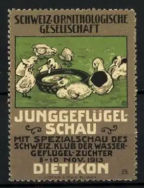 Reklamemarke Dietikon, Junggeflügel-Schau mit Spezialschau des schweiz. Klub d. Wassergeflügel-Züchter 1913, Enten