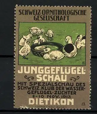 Reklamemarke Dietikon, Junggeflügel-Schau mit Spezialschau des schweiz. Klub d. Wassergeflügel-Züchter 1913, Enten