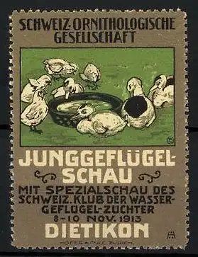 Reklamemarke Dietikon, Junggeflügel-Schau mit Spezialschau des schweiz. Klub d. Wassergeflügel-Züchter 1913, Enten