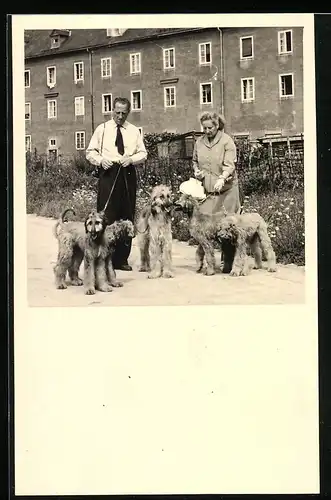 Fotografie Hund, Paar mit fünf Hunden beim Spaziergang