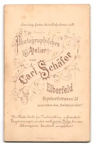 Fotografie Carl Schäfer, Elberfeld, Kipdorfstr. 57, Bürgerliche Dame mit Kragenbrosche