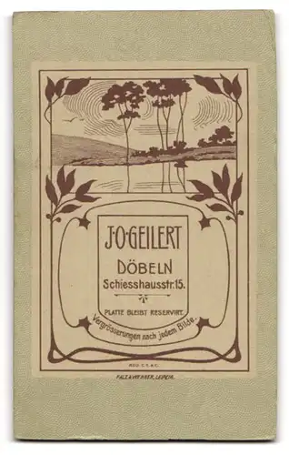 Fotografie J. O. Geilert, Döbeln, Schiesshausstr. 15, Junger Herr im Anzug mit Fliege