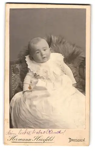 Fotografie Hermann Herzfeld, Dresden-A., Süsses Kleinkind im langen weissen Kleid