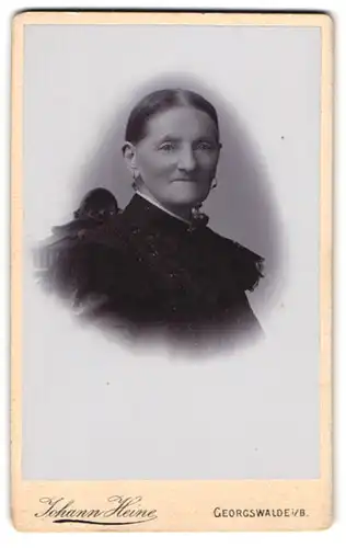 Fotografie Johann Heine, Georgswalde i. Böhmen, Ältere Dame im bestickten Kleid