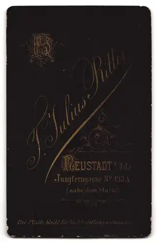 Fotografie F. Julius Ritter, Neustadt a. Orla, Jungferngasse 133 A, Junge Dame im Kleid