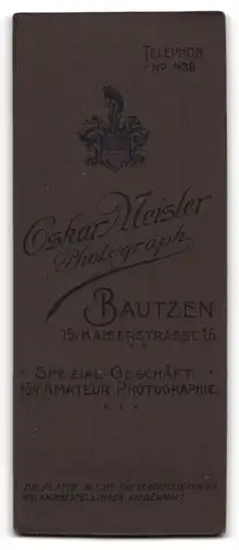 Fotografie Oskar Meister, Bautzen, Kaiserstr. 15, Junge Frau im fein karierten Kleid mit gröber gemusterten Elementen