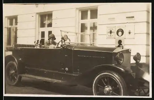 Fotografie Auto Steyr Typ VII Cabrio (1925 /27), Dame nebst Hunden im Cabriolet