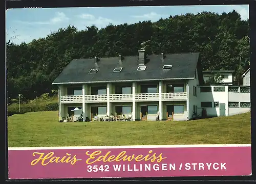 AK Willingen /Hochsauerland, Pension Haus Edelweiss gegen Waldgebiet