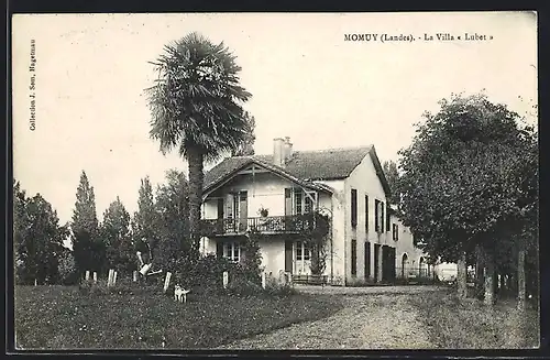 AK Momuy, La Villa Lubet