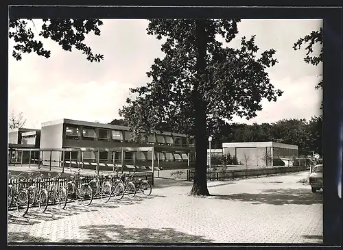 AK Heiligenrode / Stuhr, Strassenpartie mit Baum