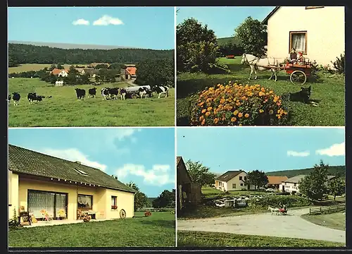 AK Auetal /Weserbergland, Ferienbauernhof Siegfried Kirchner, Bodenerngern 9, Kinder mit Ponywagen, Wiese mit Kühen