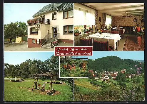 AK Medebach-Dreislar /Hochsauerland, Gasthof-Pension Zum Adler Familie Franz Schulte, Innenansicht, Garten mit Schaukel