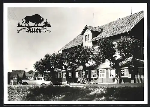 AK Auer, Blick auf den Waldgasthof Auer