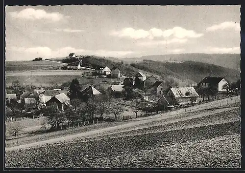 AK Holzerath /Hochw., Gasthaus Kaufhaus Bales-Fries, Ortsansicht