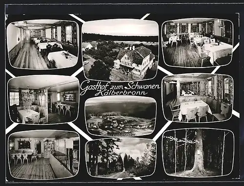 AK Kälberbronn, Gasthof zum Schwanen, Aussen- und Innenansichten, Waldpartie