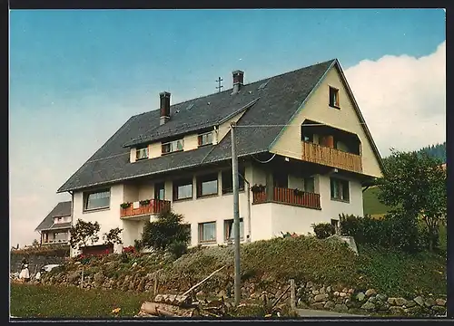 AK Bernau / Schwarzwald, Hotel-Pension Sonneck