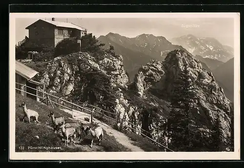 AK Pürschlinghäuser, Berghütten mit Ziegen