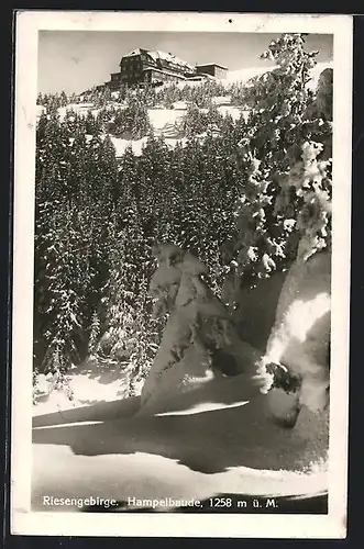 AK Hampelbaude im Riesengebirge, Blick vom verschneiten Wald auf die Hütte