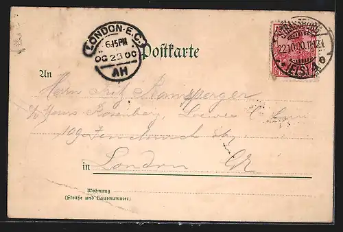 Lithographie Strassburg, Kleberplatz, Storchennest, Neue Rheinbrücke