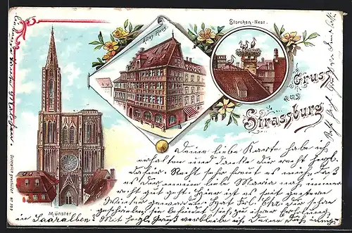 Lithographie Strassburg, Münster, Altes Haus, Storchen-Nest, Blumen
