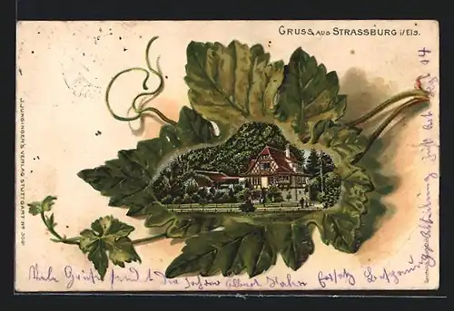 Passepartout-Lithographie Strassburg, Ansicht eines Gasthauses auf einem Weinblatt