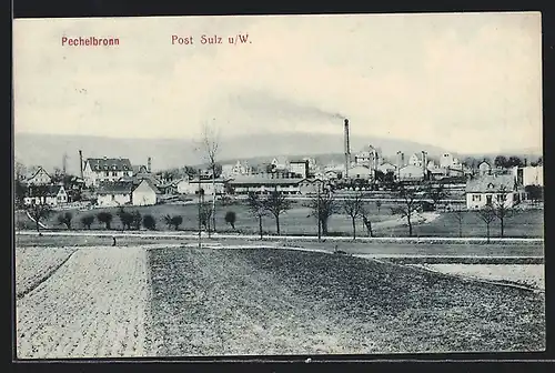 AK Pechelbronn, Blick über Felder auf den Ort