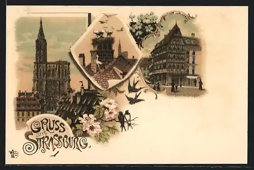 Lithographie Strassburg, Altes Haus am Domplatz, Münster