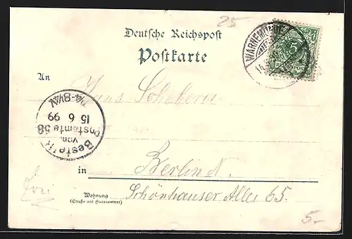 Lithographie Warnemünde, Ville am Steestrande, Dampfer mit Ortsansicht, Spill