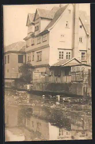 Foto-AK Erfurt, Partie am Kreuzsand