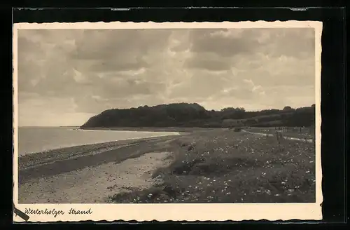 AK Westerholz /Flensburger Förde, Westerholzer Strand