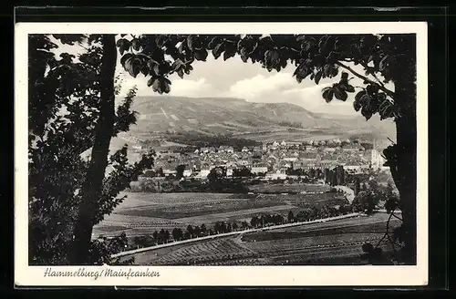 AK Hammelburg /Mainfranken, Ortsansicht aus der Ferne