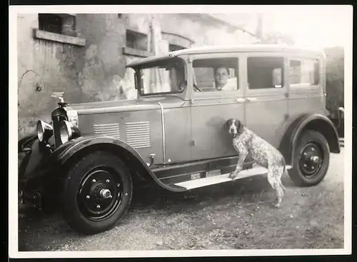 Fotografie Auto Adler Favorit (1929 /30), Hund möchte unbedingt mitfahren