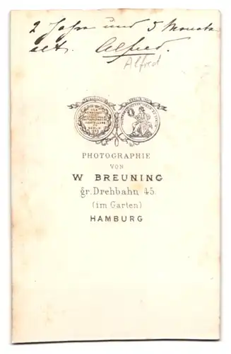 Fotografie W. Breuning, Hamburg, niedlicher junger Knabe Alfred mit 2 jahren im dunkeln Samtkleid