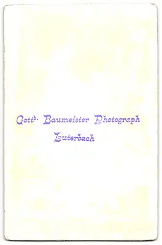 Fotografie Gottb. Baumeister, Luterbach, junge Frau in Tracht mit Kette und Brosche