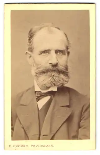 Fotografie H. Norden, Hamburg, älterer Herr im Anzug mit Vollbart