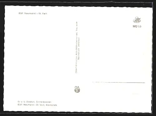 AK Neumarkt-St. Veit, Strassenpartie mit VW Bus
