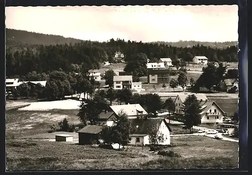 AK Fleckl im Fichtelgebirge, Ortsansicht bei Sonnenschein