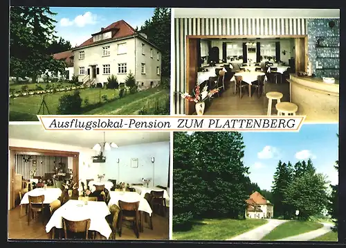 AK Brilon, Ausflugslokal zum Plattenberg, Aussenansicht u. Inneres, Bes. H. Kemper